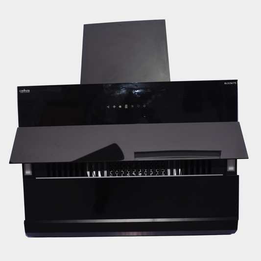 Bloom 75